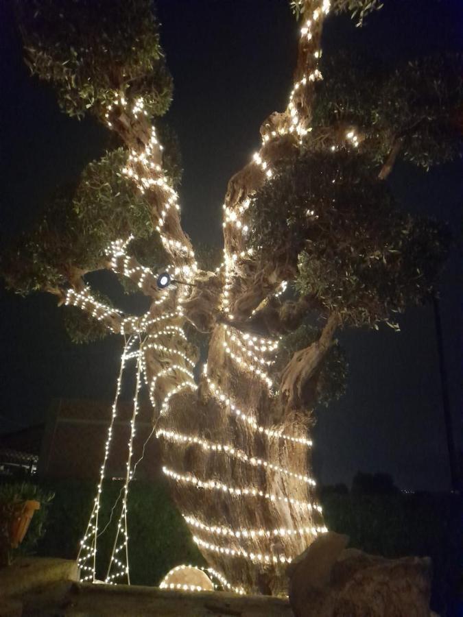 La Mia Tavernetta โมโนโปลี ภายนอก รูปภาพ